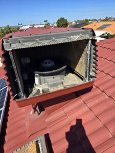 whatsapp image 2025 12 07 at 1.01.26 am (5)